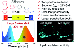 Two-photon AIE Bio-probe With Large Stokes Shift For Specific Imaging ...