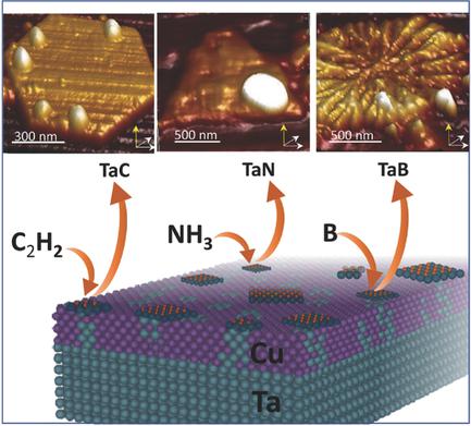 Metal Immiscibility Route to Synthesis of Ultrathin Carbides, Borides ...