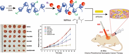 Injectable, NIR/pH-Responsive Nanocomposite Hydrogel As Long-Acting ...