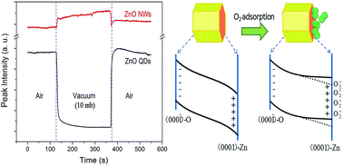 Abnormal gas pressure sensitivity of the visible emission in ZnO ...