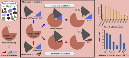 Designing novel inhibitors against histone acetyltransferase (HAT: GCN5 ...