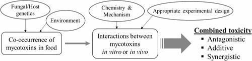 Worldwide Occurrence Of Mycotoxins In Cereals And Cereal-Derived Food ...