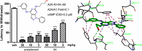 Visual Reference: Discovery Of Novel And Selective Adenosine A2A Receptor Antagonists For