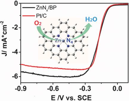 Zn Single Atom Catalyst for Highly Efficient Oxygen Reduction Reaction ...