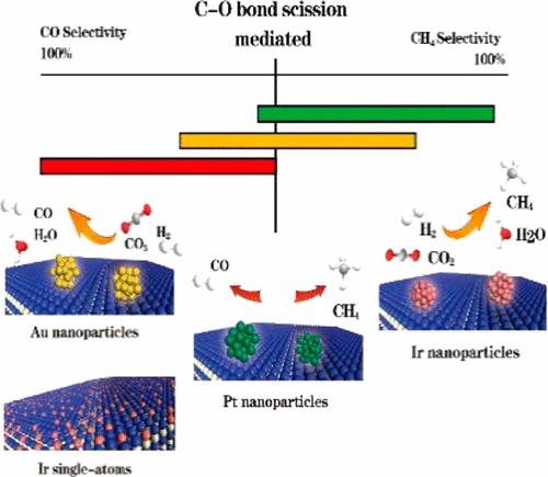 Theoretical Insights And The Corresponding Construction Of Supported ...