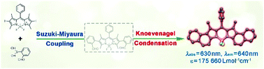 Naphtho[b]-fused BODIPYs: One Pot Suzuki–Miyaura–Knoevenagel Synthesis ...