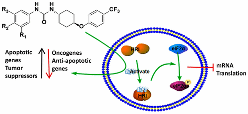 Curated visual reference: Gallery Detail: Development Of 1 1 4 Trans 4 Aryloxycyclohexyl 3 Arylurea
