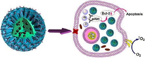 Core–Shell-structured Dendritic Mesoporous Silica Nanoparticles for ...
