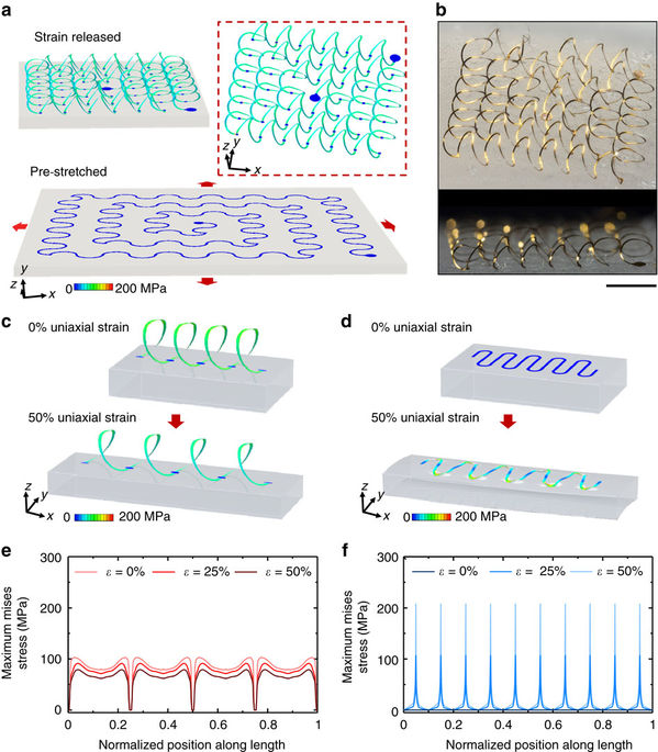 Selfassembled three dimensional network designs for soft electronics