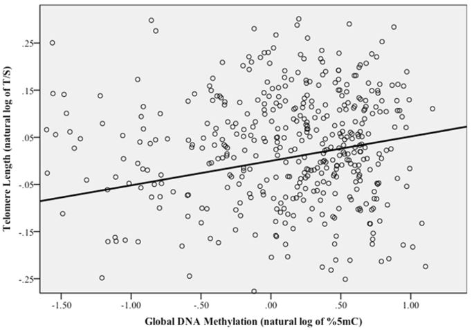 Associations between Global DNA Methylation and Telomere Length in ...