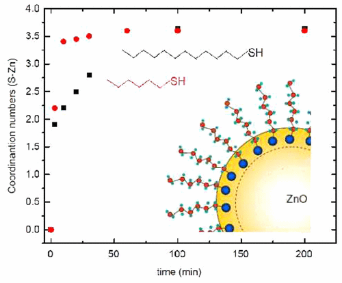 In Situ Structural Study Of The Synthesis Of Zno Nanoparticles And The Adsorption Process Of Thiol Ligands The Journal Of Physical Chemistry C X Mol
