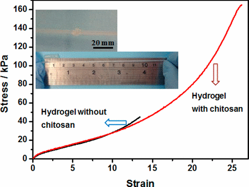 Highly Stretchable and Highly Resilient Polymer–Clay Nanocomposite ...