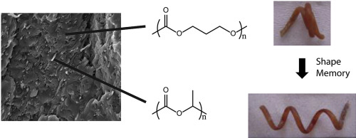 degradation of biodegradable polymers