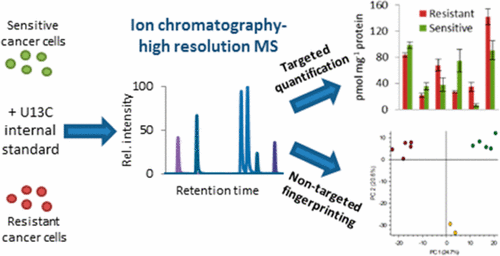 Anion-Exchange Chromatography Coupled To High-Resolution Mass ...