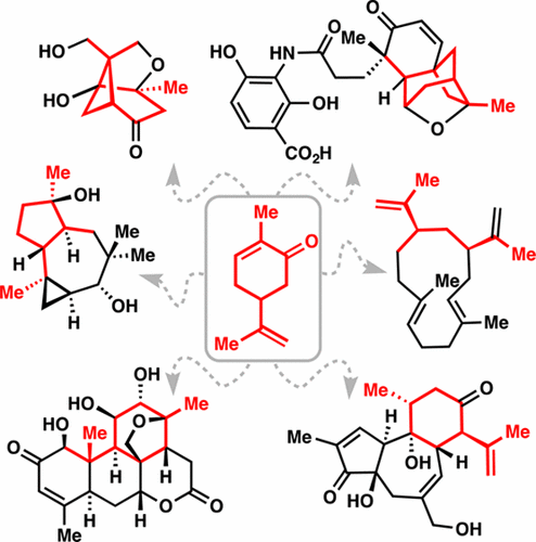 Navigating the Chiral Pool in the Total Synthesis of Complex Terpene ...