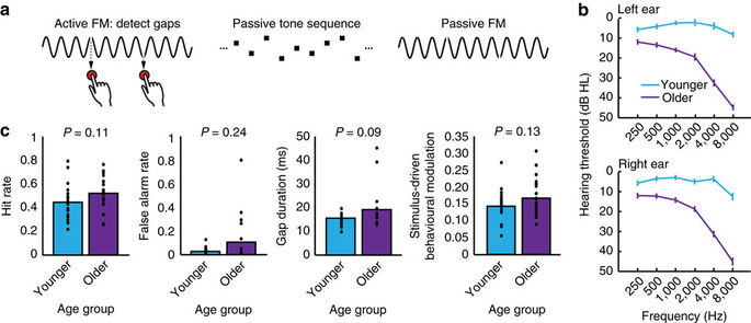 Aging affects the balance of neural entrainment and top-down neural ...
