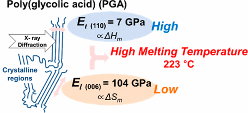 Crystal L Modulus Crystal Modulus of Poly(glycolic acid) and Its Temperature Dependence ...