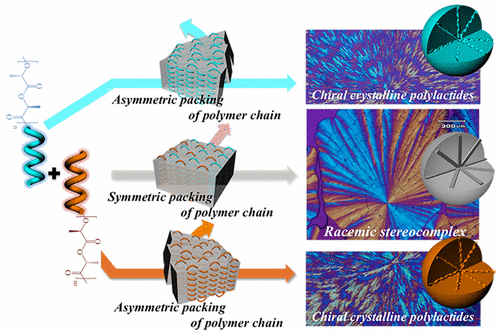 Handedness Of Twisted Lamella In Banded Spherulite Of Chiral Polylactides And Their Blends Macromolecules X Mol