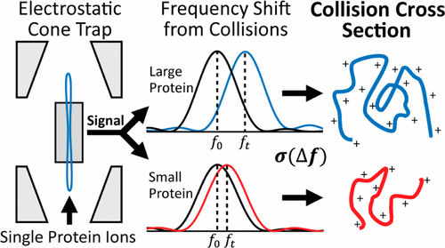 Simultaneous Measurements Of Mass And Collisional Cross-Section Of ...