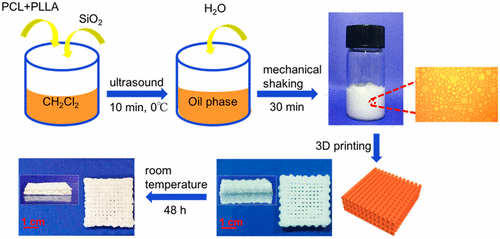 Fabrication Of Hierarchical Macroporous Biocompatible Scaffolds By ...