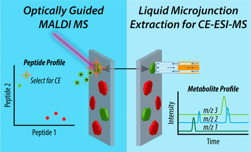 MALDI MS Guided Liquid Microjunction Extraction For Capillary ...