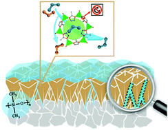 Enhanced C3H6/C3H8 separation performance on MOF membranes through ...