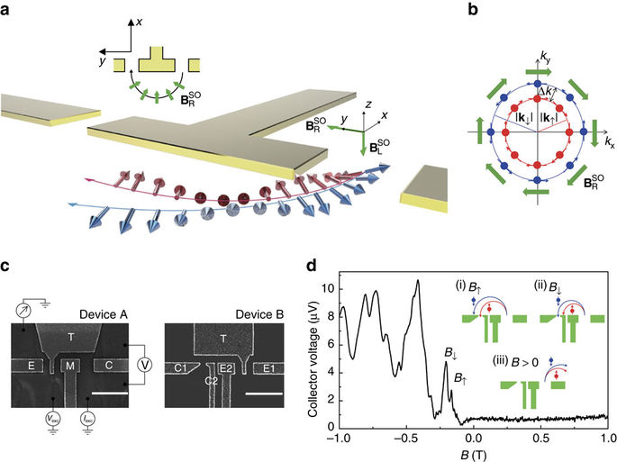 Controlled spatial separation of spins and coherent dynamics in spin ...