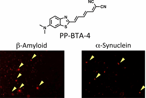 Novel Benzothiazole Derivatives as Fluorescent Probes for Detection of ...