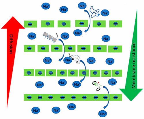 Cation Exchange Membranes With Controlled Porosity In Electrodialysis 