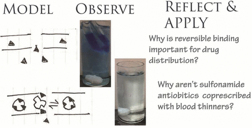 Dialysis Albumin Binding And Competitive Binding A Laboratory Lesson dialysis-albumin-binding-and-competitive-binding-a-laboratory-lesson