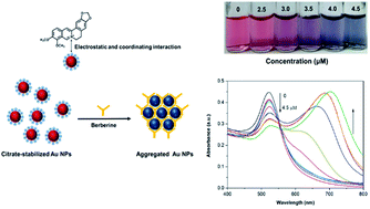 A simple, fast, and sensitive colorimetric assay for visual detection ...