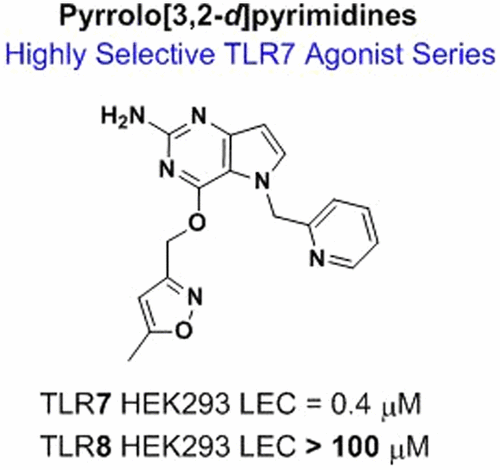 Identification and Optimization of Pyrrolo[3,2-d]pyrimidine Toll-like ...