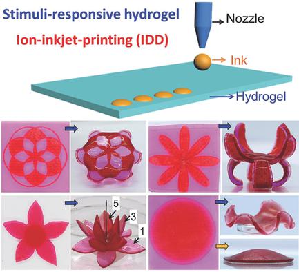 Surface Patterning Of Hydrogels For Programmable And Complex Shape ...