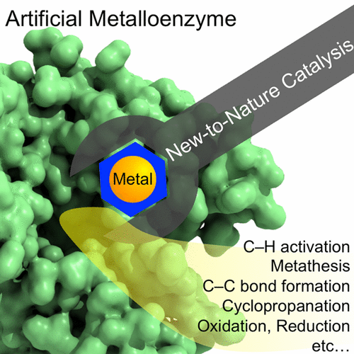 Artificial Metalloenzymes Reaction Scope and Optimization Strategies