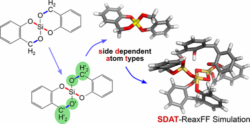 Site Dependent Atom Type ReaxFF for the Proton-Catalyzed Twin ...