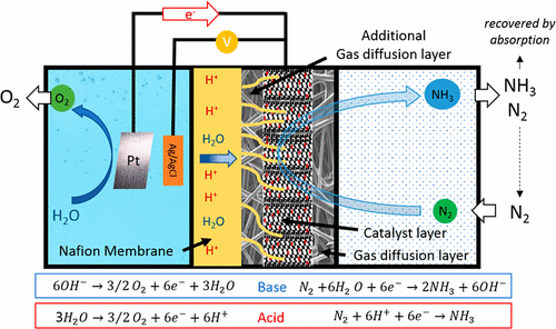 Room-Temperature Electrocatalytic Synthesis of NH3 from H2O and N2 in a ...