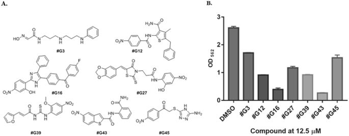 Structure-Based Discovery of Small Molecule Inhibitors of Cariogenic ...