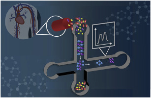 Recent advances in microfluidic sample preparation and separation ...