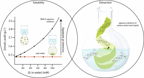 Aqueous Solutions of Surface-Active Ionic Liquids: Remarkable ...