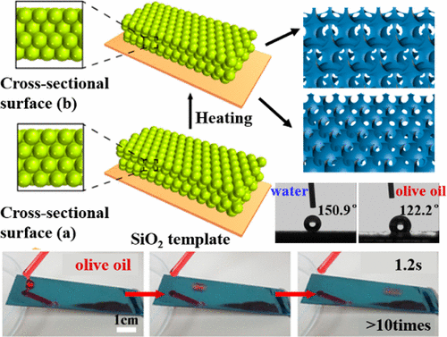 Bioinspired Design of Three-Dimensional Ordered Tribrachia-Post Arrays ...