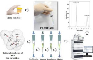 Efficient molecularly imprinted polymer as a pipette-tip solid-phase ...