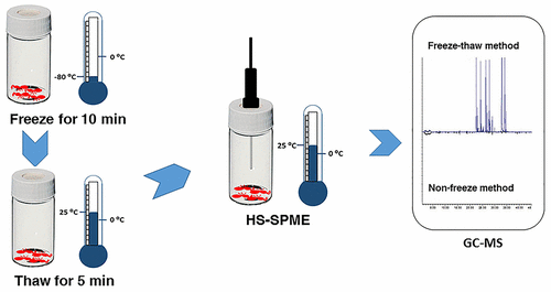 Freezethaw Sample Preparation Method Improves Detection Of Volatile Compounds In Insects Using 9161