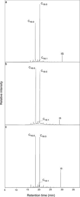 Earliest Expansion Of Animal Husbandry Beyond The Mediterranean Zone In The Sixth Millennium Bc X Mol To achieve high accuracy, enter the name of the song + artist names when searching. x mol