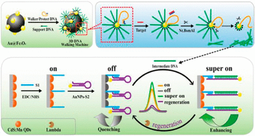 Ultrasensitive Electrochemiluminescence Biosensor For MicroRNA ...