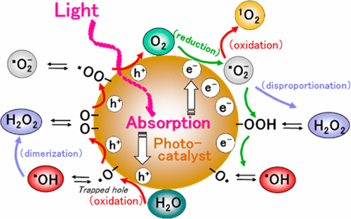 Generation And Detection Of Reactive Oxygen Species In Photocatalysis ...