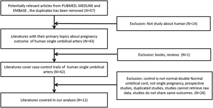 Single umbilical artery risks