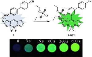 A highly specific BODIPY-based fluorescent probe for the detection of ...