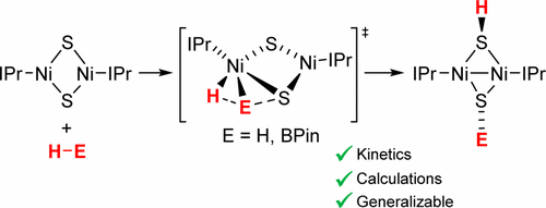 Heterolytic H H And H B Bond Cleavage Reactions Of Ipr Ni M S 2 Inorganic Chemistry X Mol