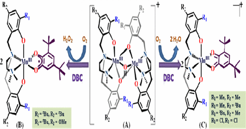 Ligand-Induced Tuning of the Oxidase Activity of μ-Hydroxidodimanganese ...