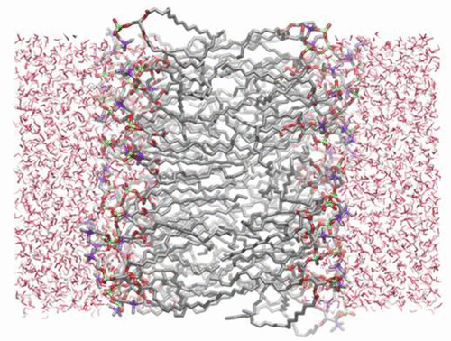 Drude Polarizable Force Field for Molecular Dynamics Simulations of ...